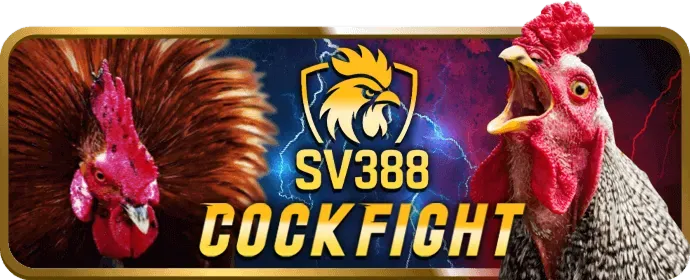 Hoàn trả hàng ngày và hàng tuần Sanvip Win